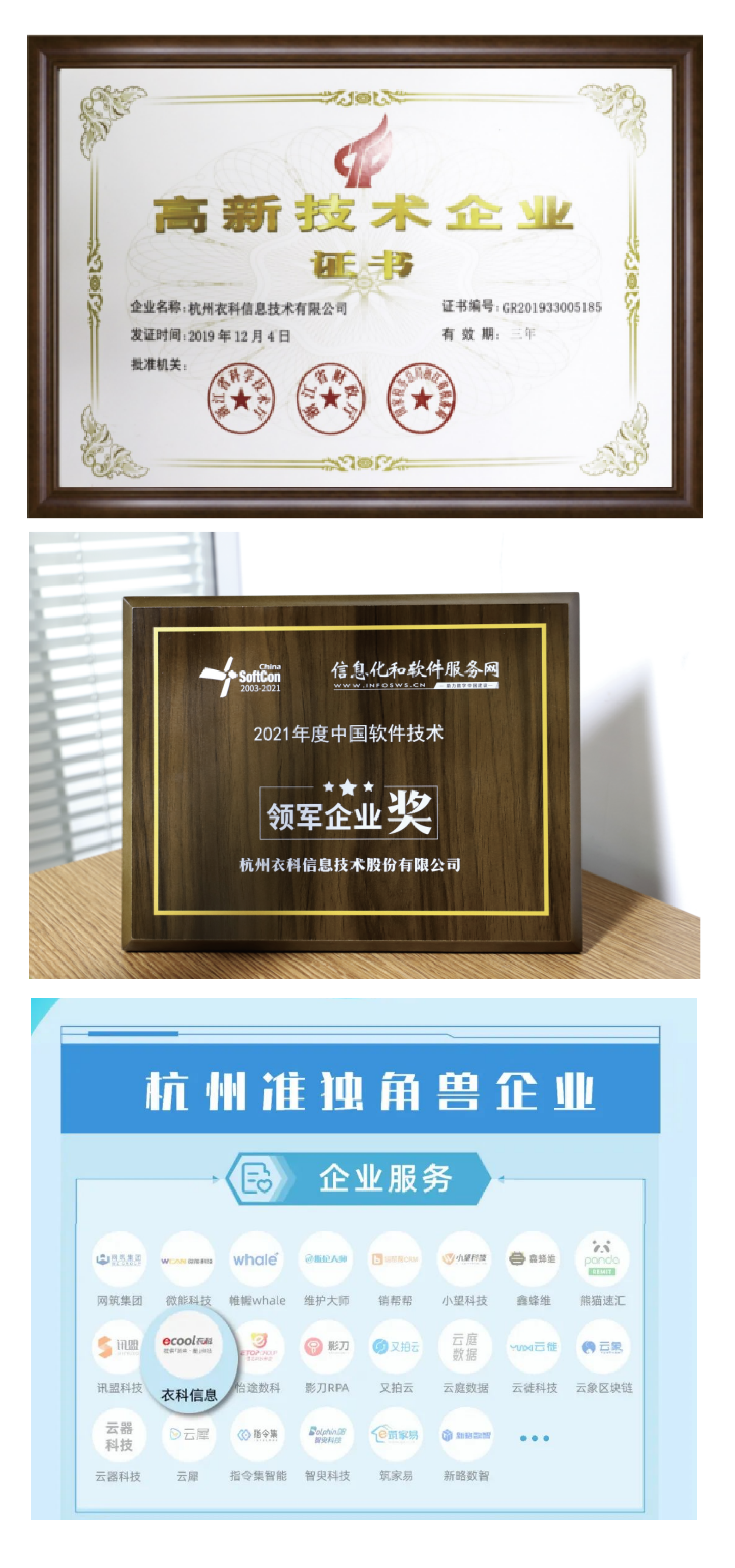 衣科