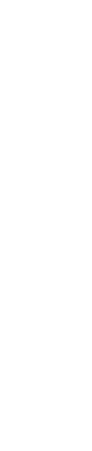 衣科