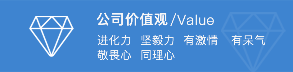 衣科